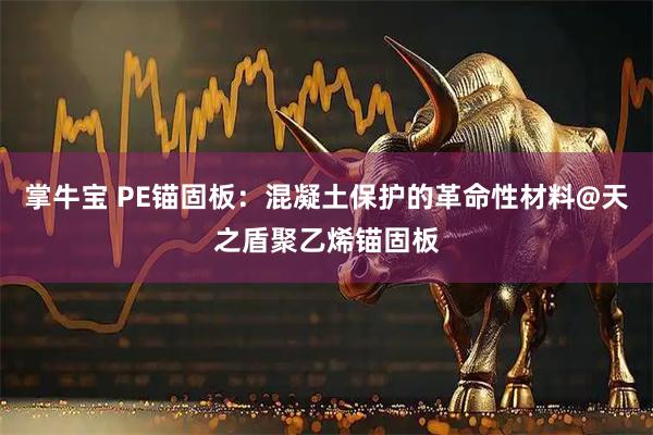 掌牛宝 PE锚固板：混凝土保护的革命性材料@天之盾聚乙烯锚固板